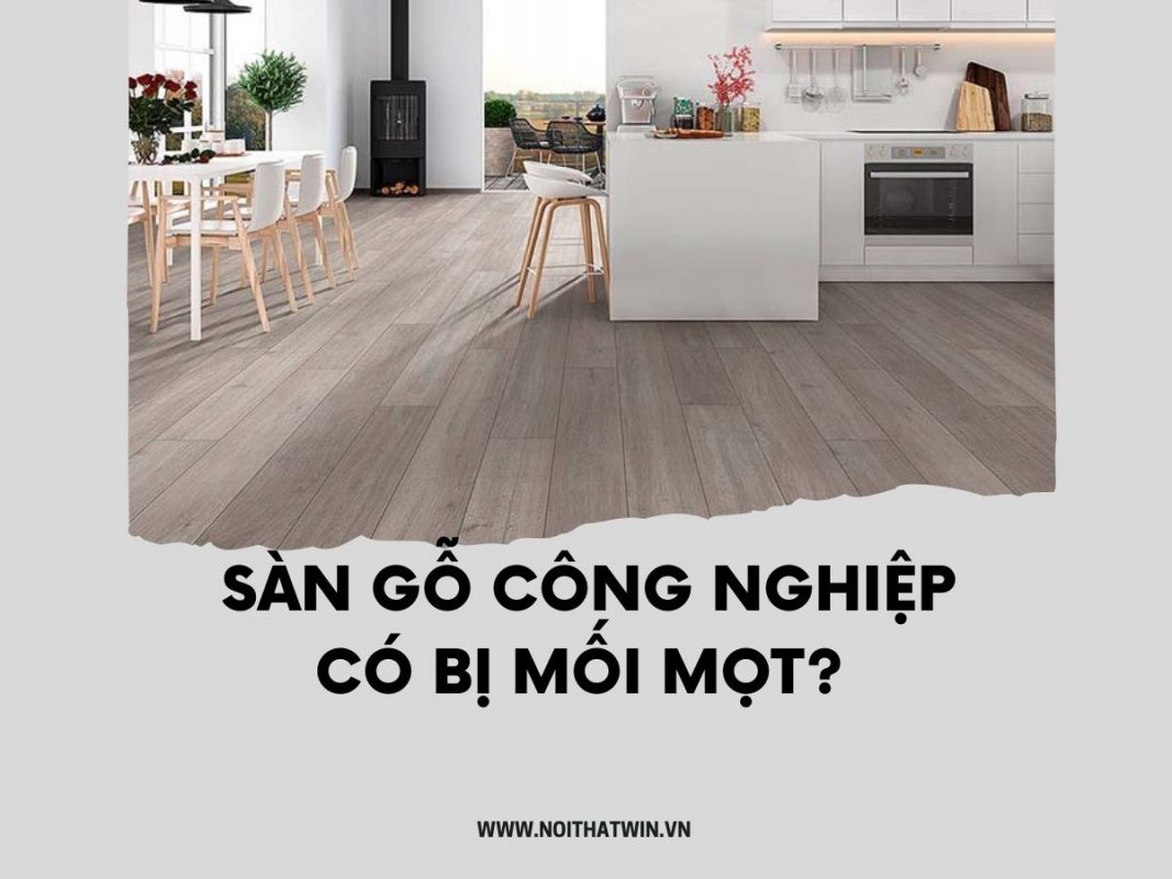 Sàn gỗ công nghiệp có bị mối mọt không? Nguyên nhân và giải pháp 