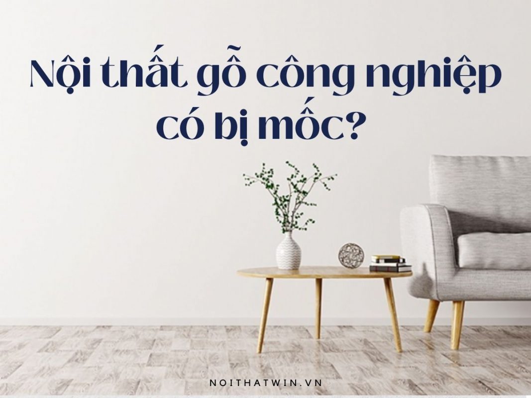 Nội thất bằng gỗ công nghiệp có bị mốc không? Cách xử lý nấm mốc 