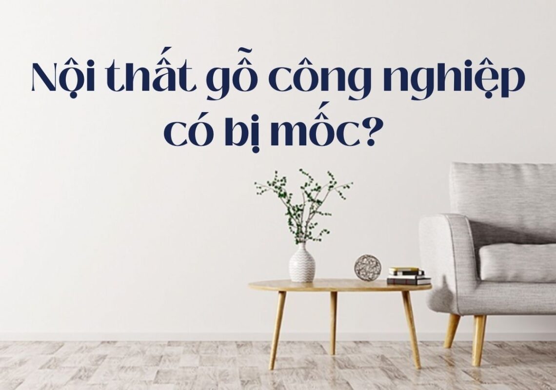 Nội thất bằng gỗ công nghiệp có bị mốc không? Cách xử lý nấm mốc