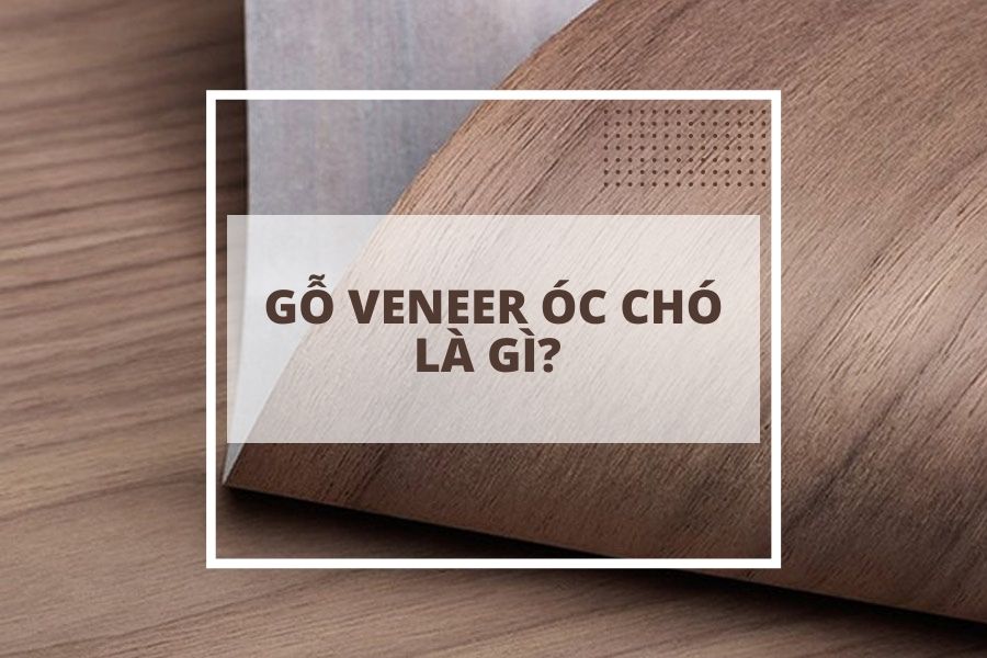 Gỗ veneer óc chó là gì? Ứng dụng của loại gỗ trong nội thất