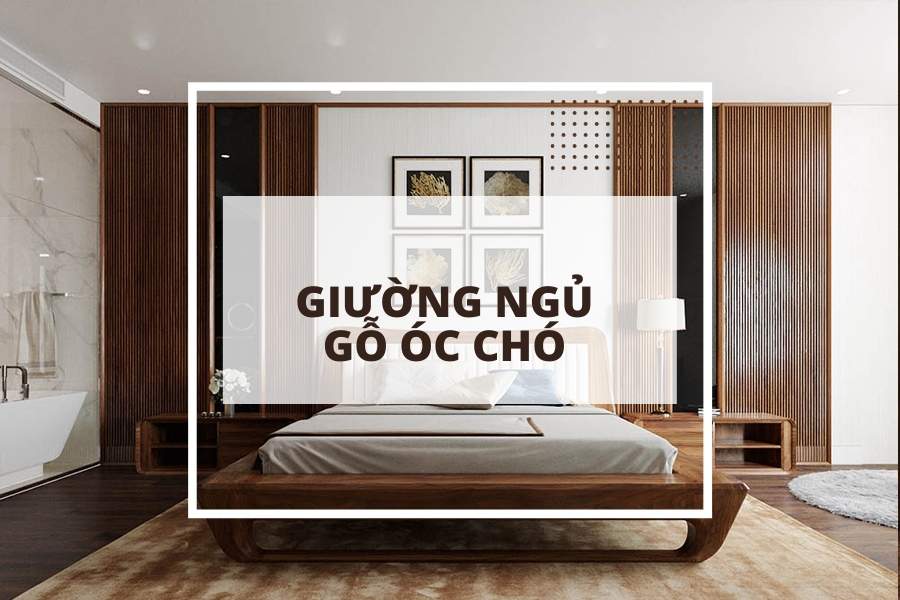 Mẫu giường ngủ gỗ óc chó cao cấp - từ cổ điển đến hiện đại 